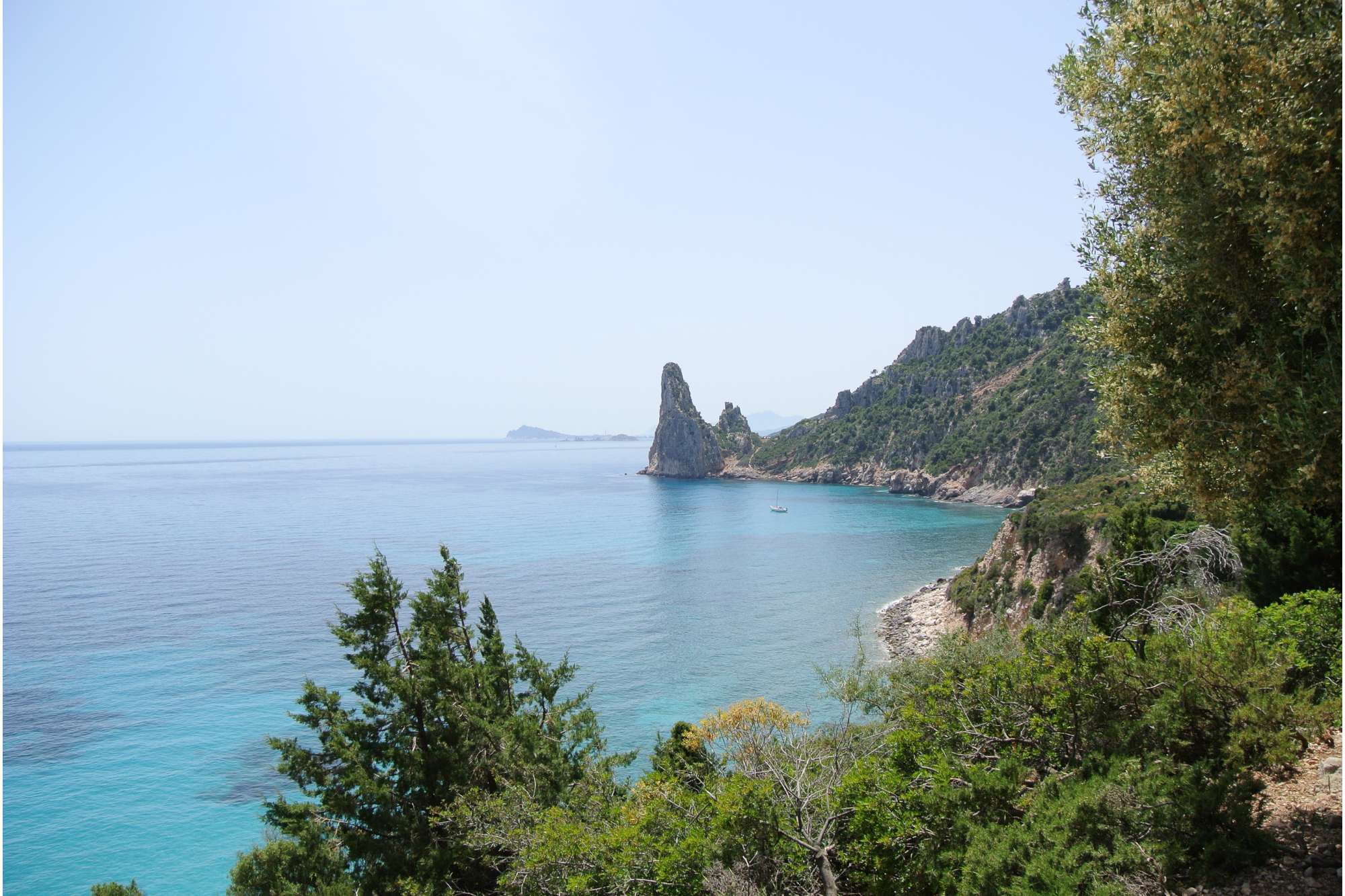 Selvaggio Blu