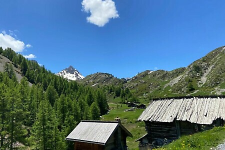 Sealps Tour