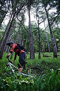 Sealps Tour