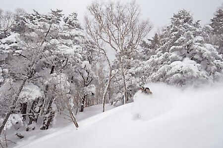 Freeride e scialpinismo in Giappone