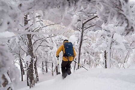 Freeride e scialpinismo in Giappone