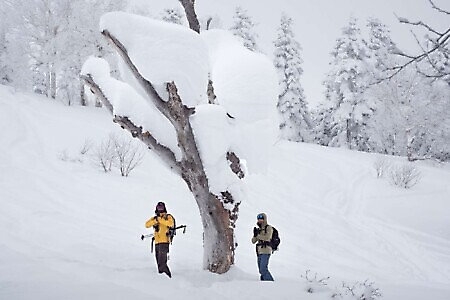 Freeride e scialpinismo in Giappone
