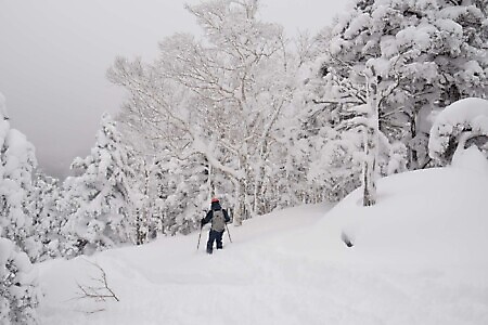 Freeride e scialpinismo in Giappone