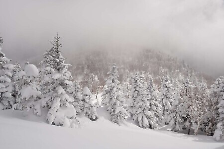 Freeride e scialpinismo in Giappone