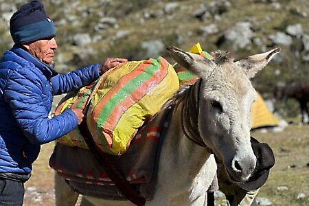 Trekking nella Cordillera Huayhuash – Perù